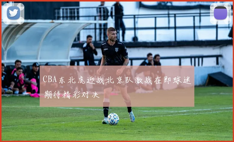 CBA东北虎迎战北京队激战在即球迷期待精彩对决