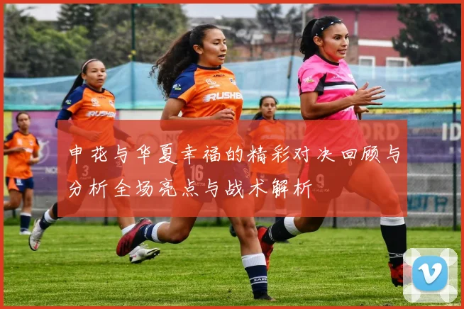申花与华夏幸福的精彩对决回顾与分析全场亮点与战术解析