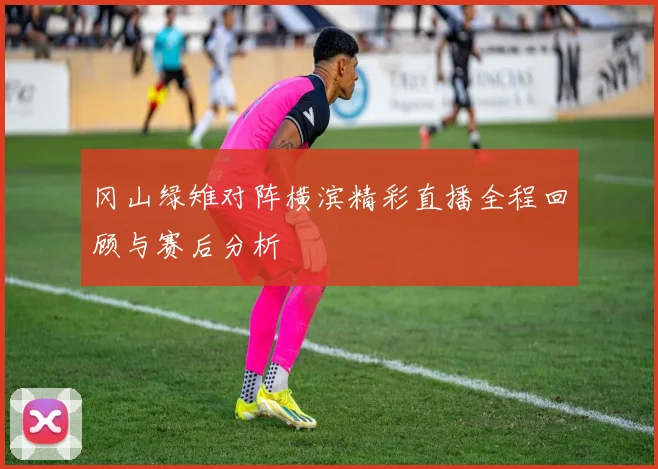 冈山绿雉对阵横滨精彩直播全程回顾与赛后分析