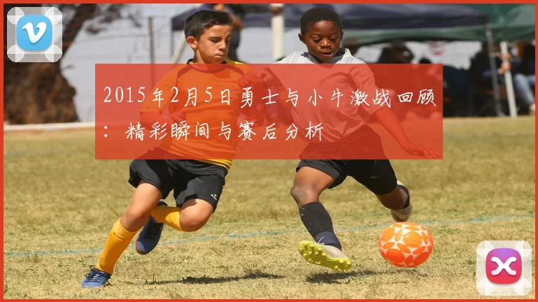 2015年2月5日勇士与小牛激战回顾：精彩瞬间与赛后分析