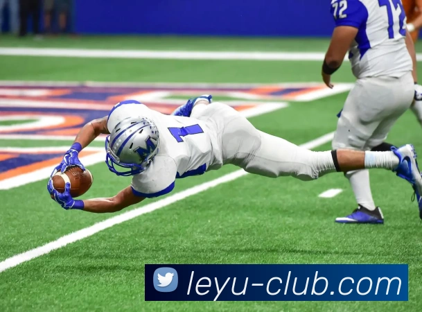 乐鱼体育发展历程